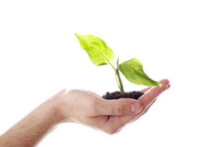 grow